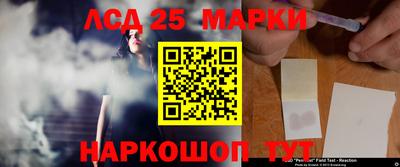 гидропоника Можга