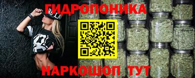 гидропоника Можга