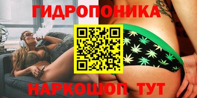 гидропоника Можга
