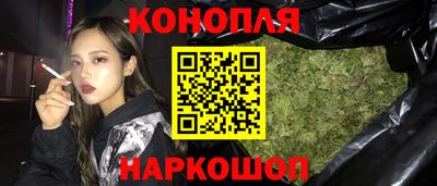 гидропоника Можга