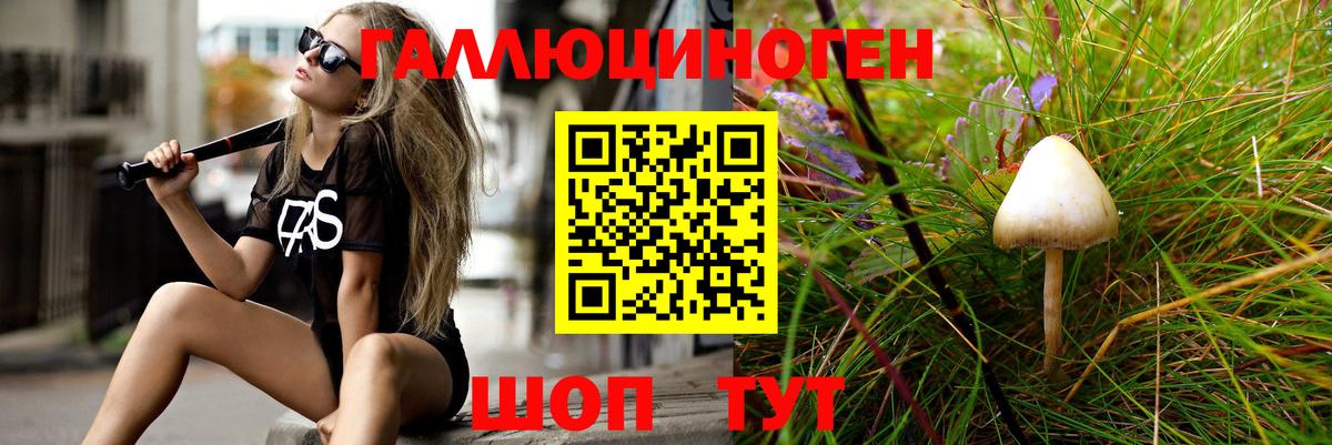 Галлюциногенные грибы MAGIC MUSHROOMS Ростов Великий