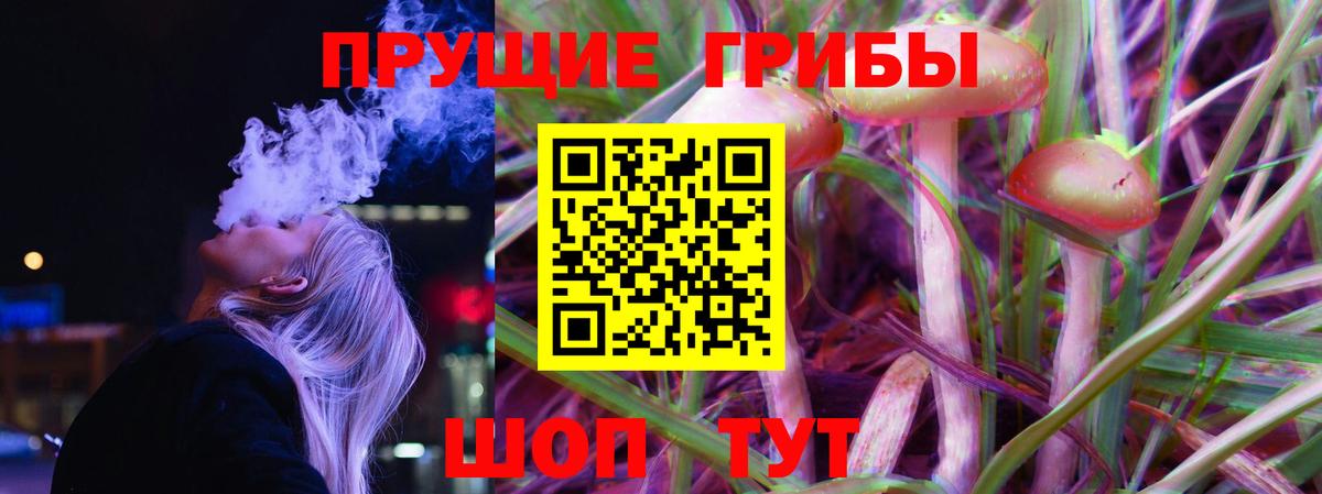 Галлюциногенные грибы прущие грибы  Вход с VPN  Псилоцибиновые грибы GOLDEN TEACHER  Ростов Великий 